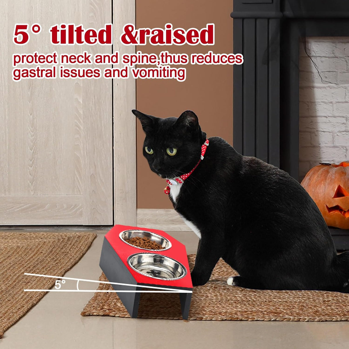 Teenyyou Gothic Cat Food Bowl 5 Degree Tilted Halloween Coffin Cat Bowl
