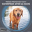 FRONTLINE® Shield for Dogs Flea & Tick Treatment, Medium Dog, 21-40 Lbs, Blue Box, 6Ct