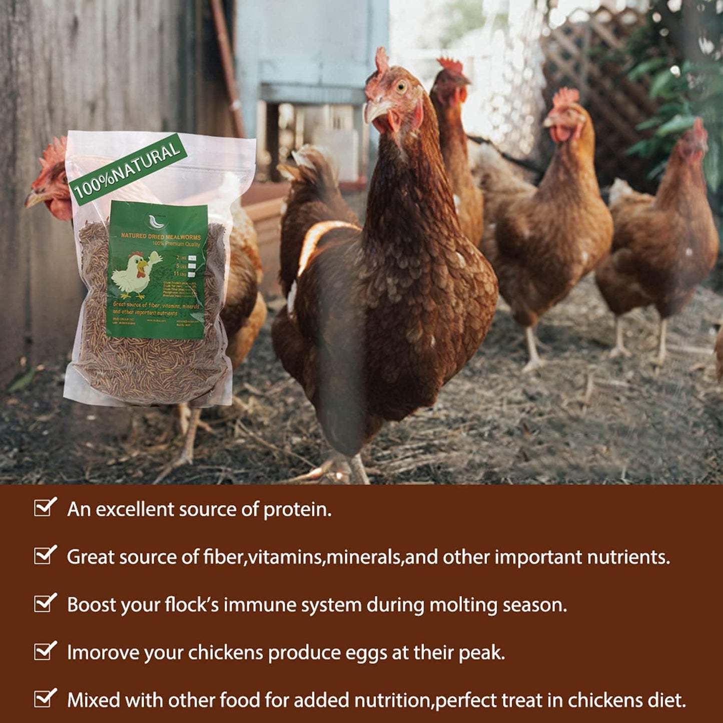 Non-Gmo High-Protein Large Dried Mealworms for Chickens, Natural Grubs and Poultry Treats as Chicken Feed,Duck Food, Wild Birds Seed,Fish Food,Reptile Food,Amphibian Food(Mealworms-2Lb)
