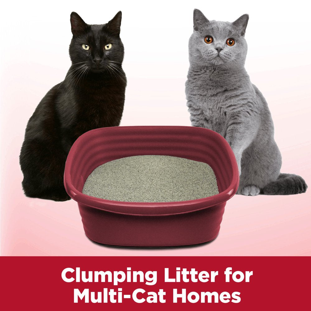 ARM & HAMMER Clump & Seal Cat Litter Multi-Cat Complete Odor Sealing Clay Clumping Cat Litter, 28 Lb