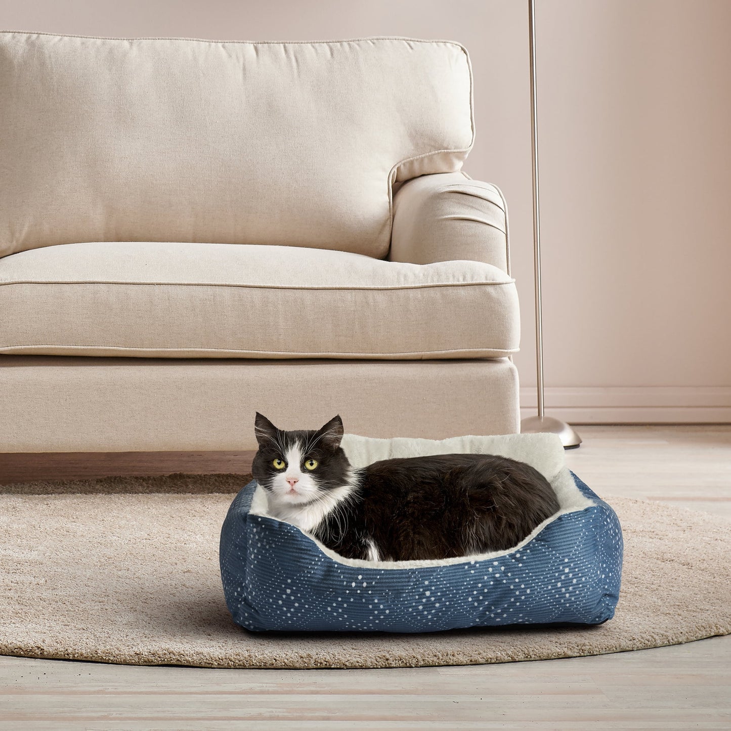 Vibrant Life Puppy Dog Bed, Plush Bolster Dog for Small Dogs, Small, 21" X 17", Blue