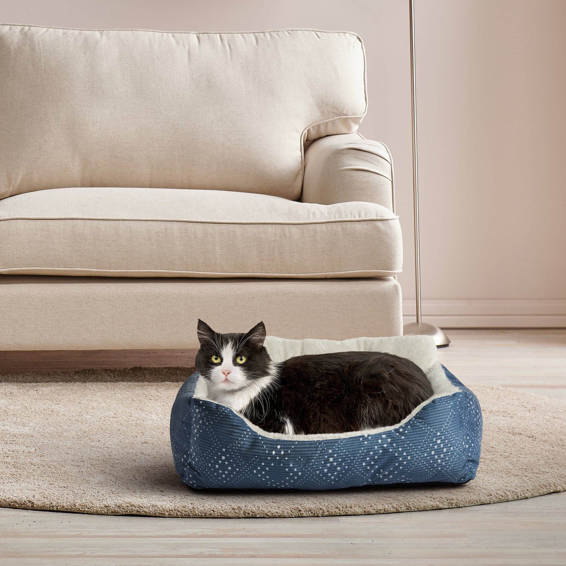 Vibrant Life Puppy Dog Bed, Plush Bolster Dog for Small Dogs, Small, 21" X 17", Blue