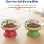 Pawspik Strawberry Blooms Elevated Ceramic Cat Bowl, Green