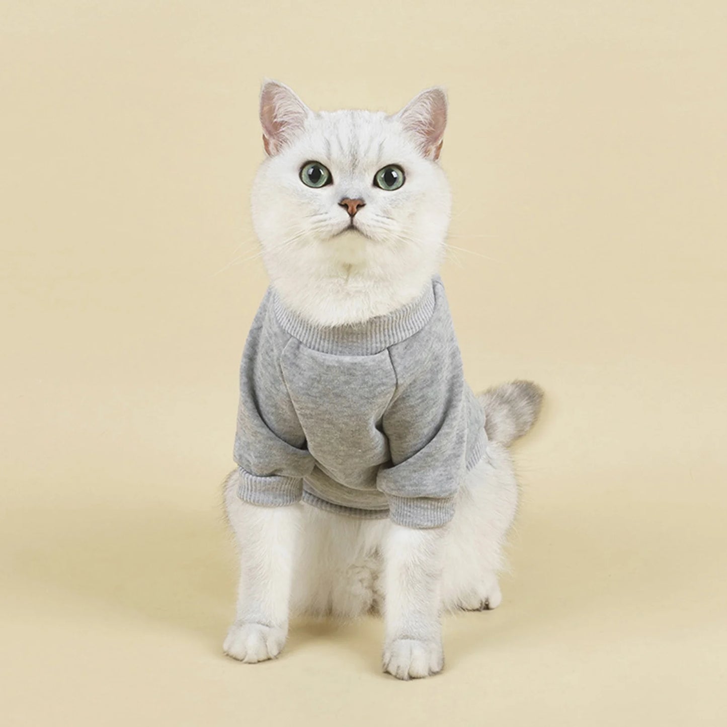 Walbest Dog Sweaters for Small Dogs, Cute Dog Clothes Classic Warm Pet Sweaters for Dogs Girls Boys, Cat Sweater Dog Sweatshirt Winter Coat Apparel for Small Dog Puppy Kitten Cat((Pink, L)