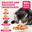 Wellix Rabbit & Cranberry Freeze Dried Dog & Cat Treats - Grain Free 4.59Oz