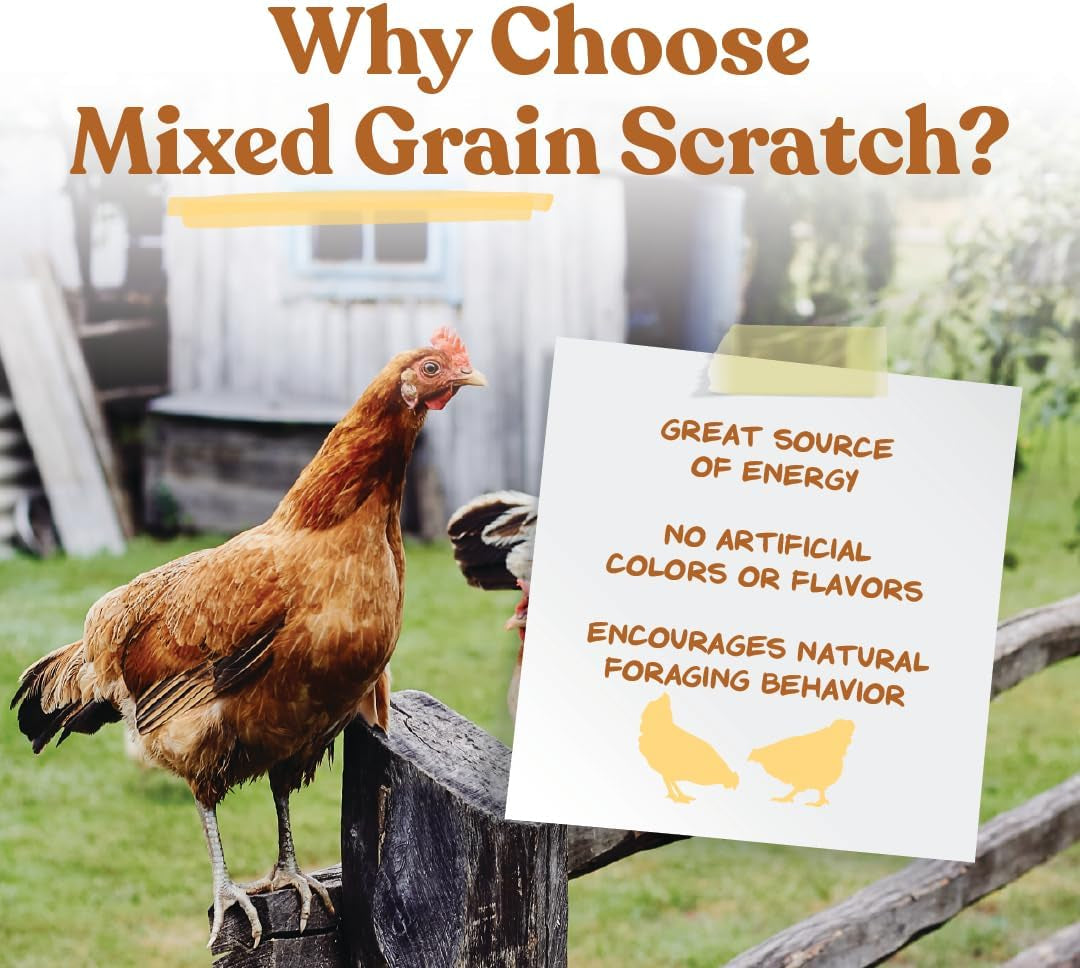 Manna Pro Ultimate Chicken Scratch Multigrain Treat, 10 Lb Bag | Nutrient-Rich Scratch Grain Blend, Natural Multigrain Treat, Encourages Natural Foraging, for Chickens & Poultry