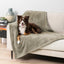 Petami Fluffy Waterproof Dog Blanket for Small Medium Dogs, Soft Warm Pet Sherpa Throw Pee Proof Couch Cover, Reversible Cat Puppy Bed Blanket Sofa Protector, Plush Washable Pad (Taupe Camel, 24X32)