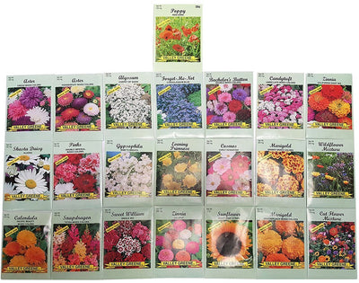 Set of 22 Valley Green Black Duck Brand Heirloom Flower Seeds 22 Different Varieties Non-Gmo (Variety Deluxe Flower Garden)