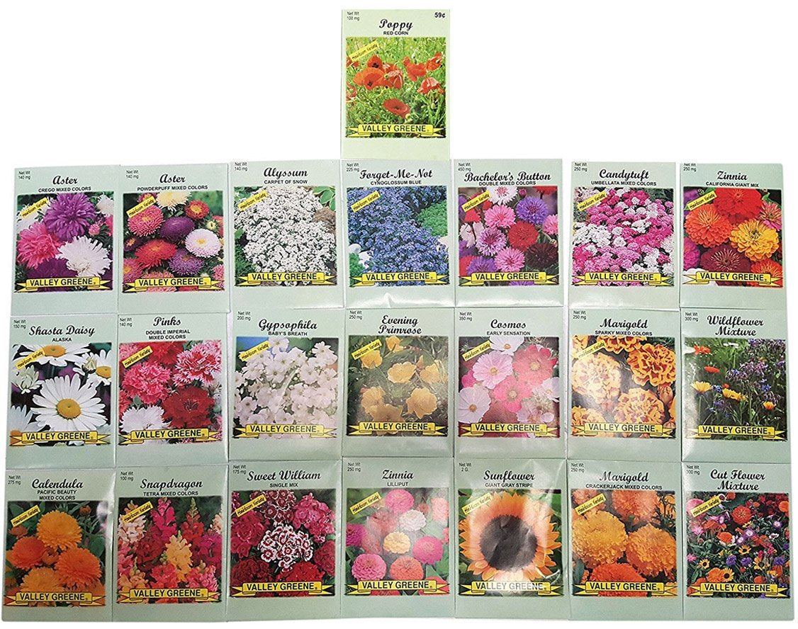 Set of 22 Valley Green Black Duck Brand Heirloom Flower Seeds 22 Different Varieties Non-Gmo (Variety Deluxe Flower Garden)