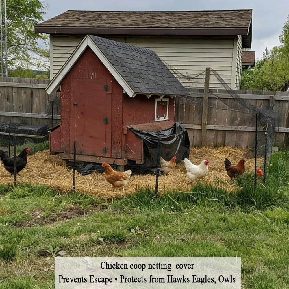 Bird Netting for Chicken Coop 25X50 FT, 1" Chicken Run Cover Net | Woven Coop Netting Roof against Hawk, Eagle, Owls, Bird Netting for Garden, Fruit Trees, Plants, Vegetables Protection