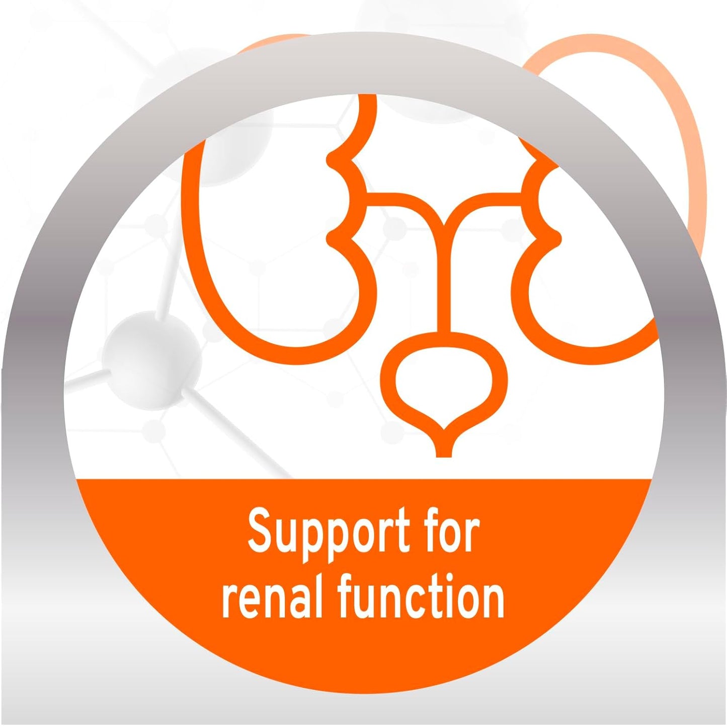 Forza10 - Dog Food, Vet Formulated Wet Dog Food for Kidney Support, Non-Gmo, Lamb Flavor, Made in Italy (3.5 Oz, 32 Pack)