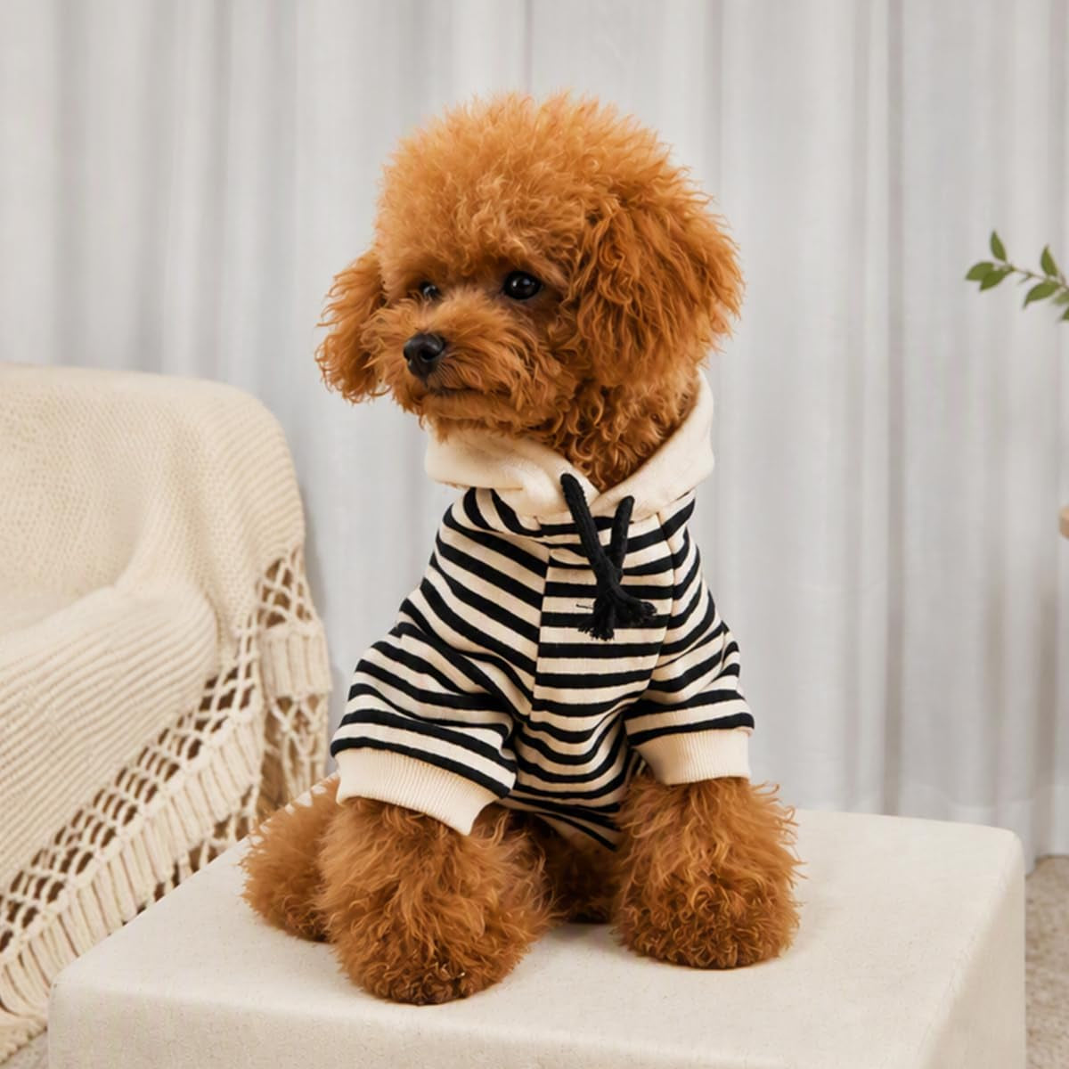 Matching Dog and Owner Clothes - Mom Dad Dog Sweatshirt Hoodie Separately Sold, Striped Sweaters for Small Dogs Cats,Cat Birthday Christmas Outfits (Large, Pet-Black)