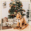 Watersay 12 Sheet Christmas Wrapping Paper, Gingerbread Man, Brown