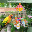 Small and Medium-Sized Bird Toys, Parrot Chewing Sneakers Acrylic Amazon Parrot, Love Birds, Parrot, Parrot, Bell Ball Birdcage Toys.