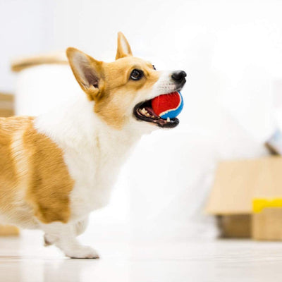 Gigwi Tennis Balls for Dogs, Squeaky Dog Tennis Balls for Exercise, High Bouncy Pet Ball Bright Colors 2.5 Inches, Interactive Funny Dog Toys for All Breeds of Dogs Indoor & Outdoor Dog Games, 3 Pack