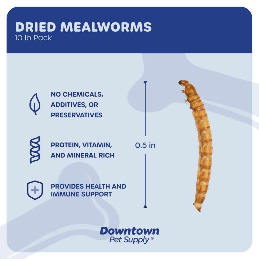 Downtown Pet Supply Dried Mealworms for Chicken Feed, Turtle Food 10 Lbs