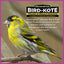 Ultimate 7 Lb. Nut and Fruit Bird Seed Food Blend Wild Bird Seed Mix