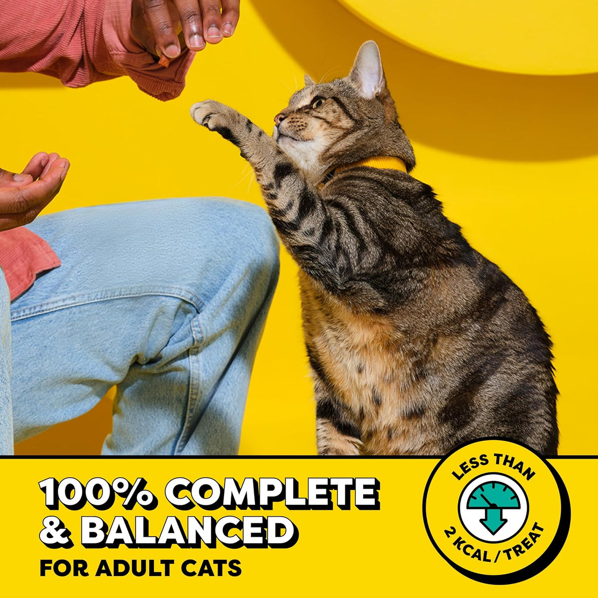 Temptations Classic Crunchy Cat Treats, Blissful Catnip, 16 Oz