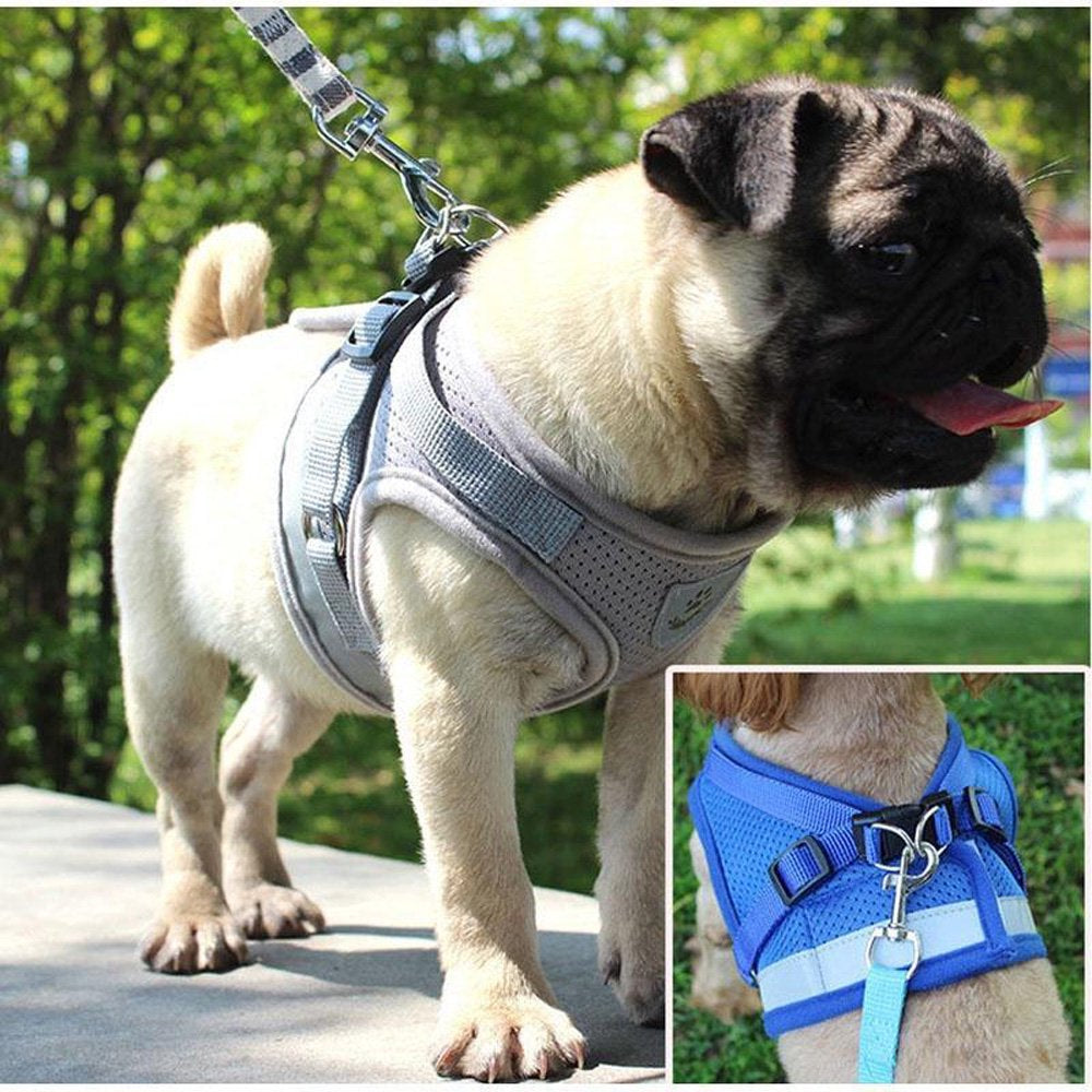 OBOSOE Supet Cat Harness and Leash Set for Walking Cat and Small Dog Harness Soft Mesh Puppy Harness Adjustable Cat Vest Harness with Reflective Strap Comfort Fit for Pet Kitten Puppy Rabbit