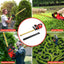 Cordless Hedge Trimmer, UNTIMATY 21V Rechargeable Hedge Trimmer with 22" Double Action Blade, Double Safety Handle, 3.0Ah Battery & Charger, for Shrub Cutting, Trimming
