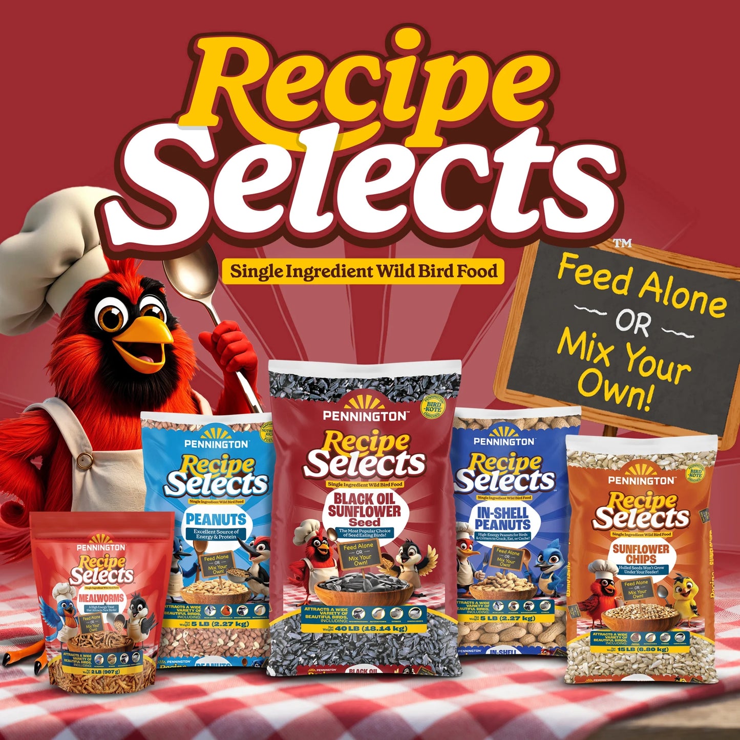 (4 Pack) Pennington Recipe Selects Dried Mealworms for Birds, Bluebird and Wild Bird Food for outside Feeder, 17.6 Oz Bag, 1 Pack