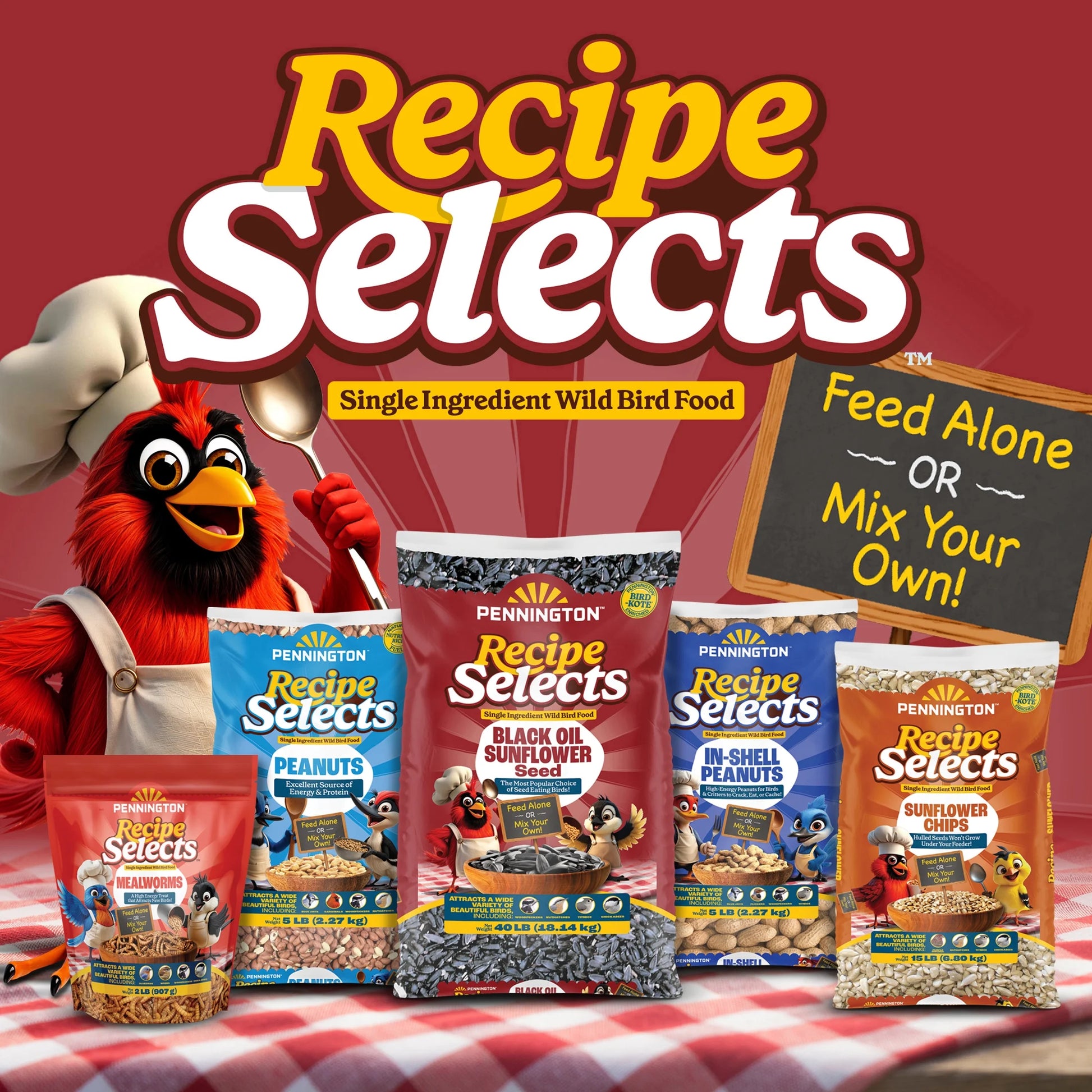 (4 Pack) Pennington Recipe Selects Dried Mealworms for Birds, Bluebird and Wild Bird Food for outside Feeder, 17.6 Oz Bag, 1 Pack