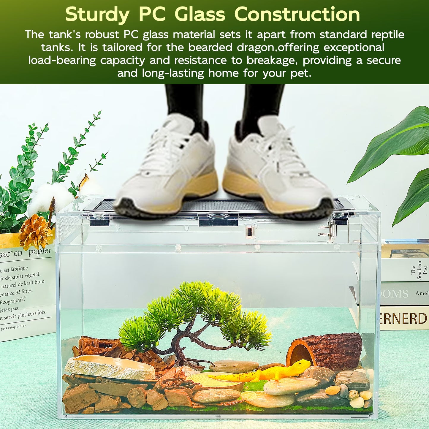 Gecko Tank & Reptile Terrarium Kit with Heat Lamp, Spray Bottle, Tools & Hideout - Perfect Habitat for Lizards, Snakes, Turtles, Hermit Crabs, Frogs, Jumping Spiders 12.5X6X7 Inch