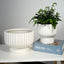 Better Homes & Gardens Pottery 12" Fischer round Ceramic Planter, White