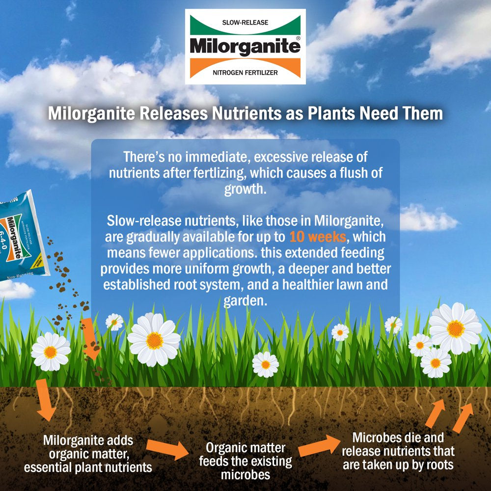 Milorganite Long Lasting All Purpose Lawn Food, 6-4-0 Fertilizer, 32 Lb.