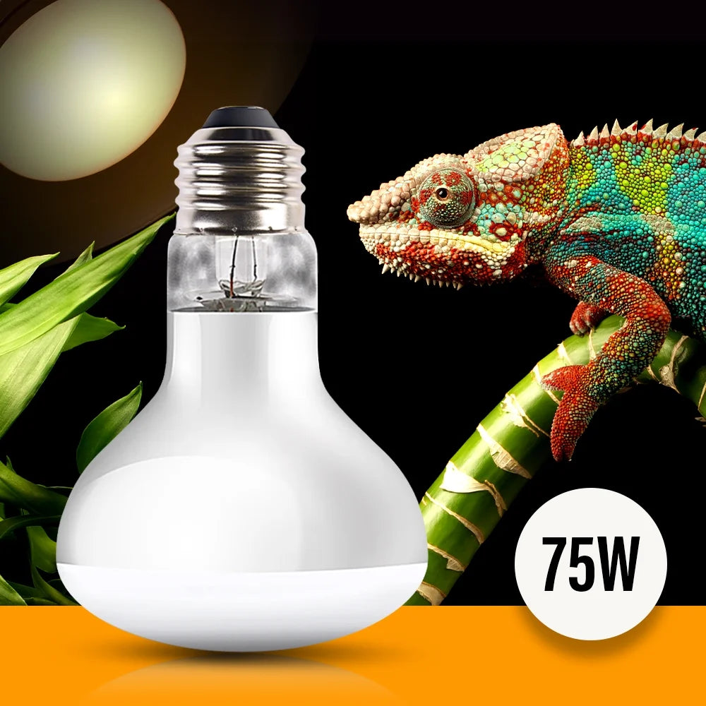 Xyzreptiles 75 Watt Reptile Heat Lamp Bulb