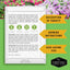 20 Pack Apartment Seed Kit - Heirloom Vegetable Seeds - Container Friendly Part & Full Sun Annuals