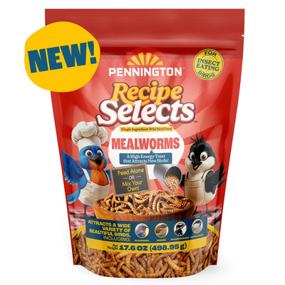 (4 Pack) Pennington Recipe Selects Dried Mealworms for Birds, Bluebird and Wild Bird Food for outside Feeder, 17.6 Oz Bag, 1 Pack