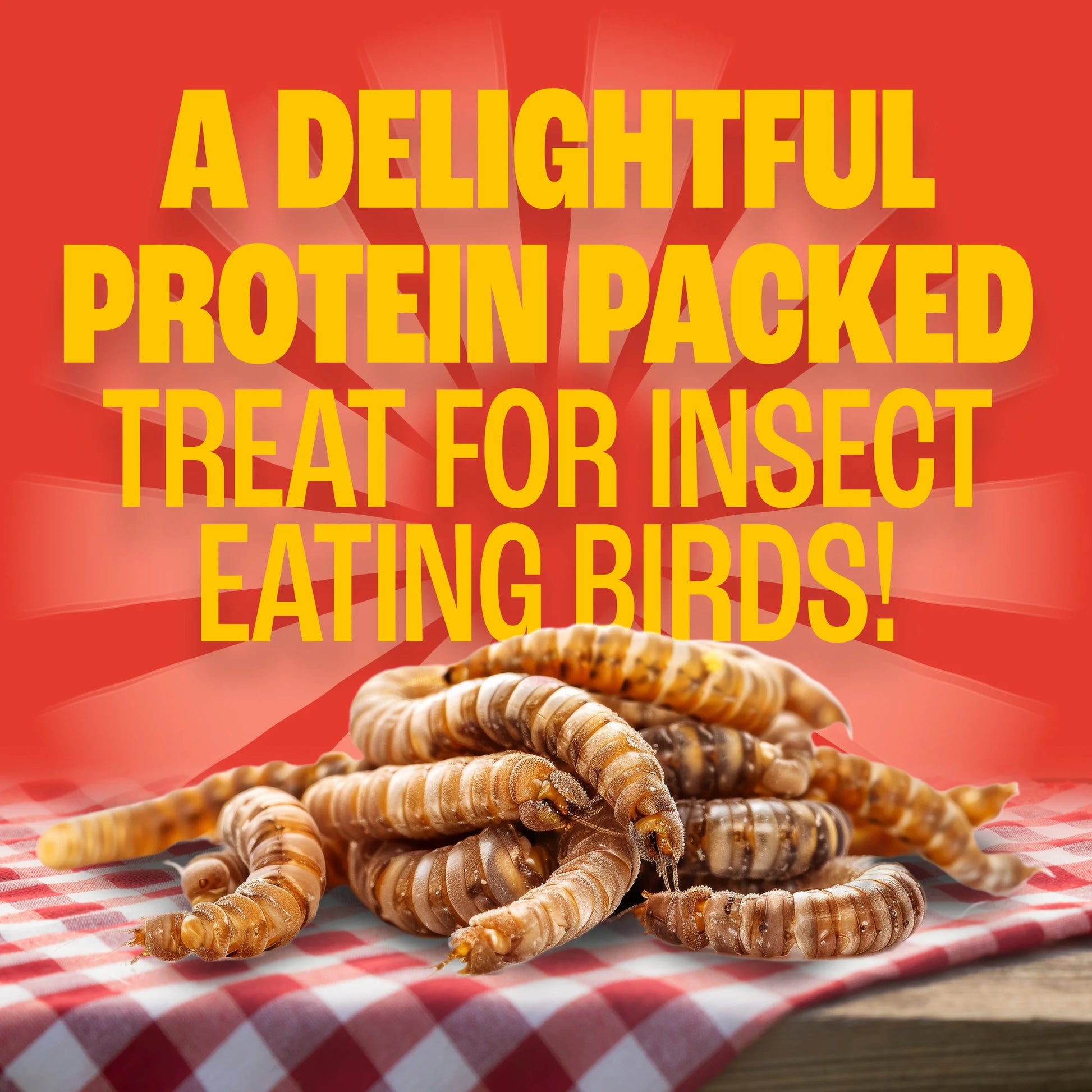 (4 Pack) Pennington Recipe Selects Dried Mealworms for Birds, Bluebird and Wild Bird Food for outside Feeder, 17.6 Oz Bag, 1 Pack