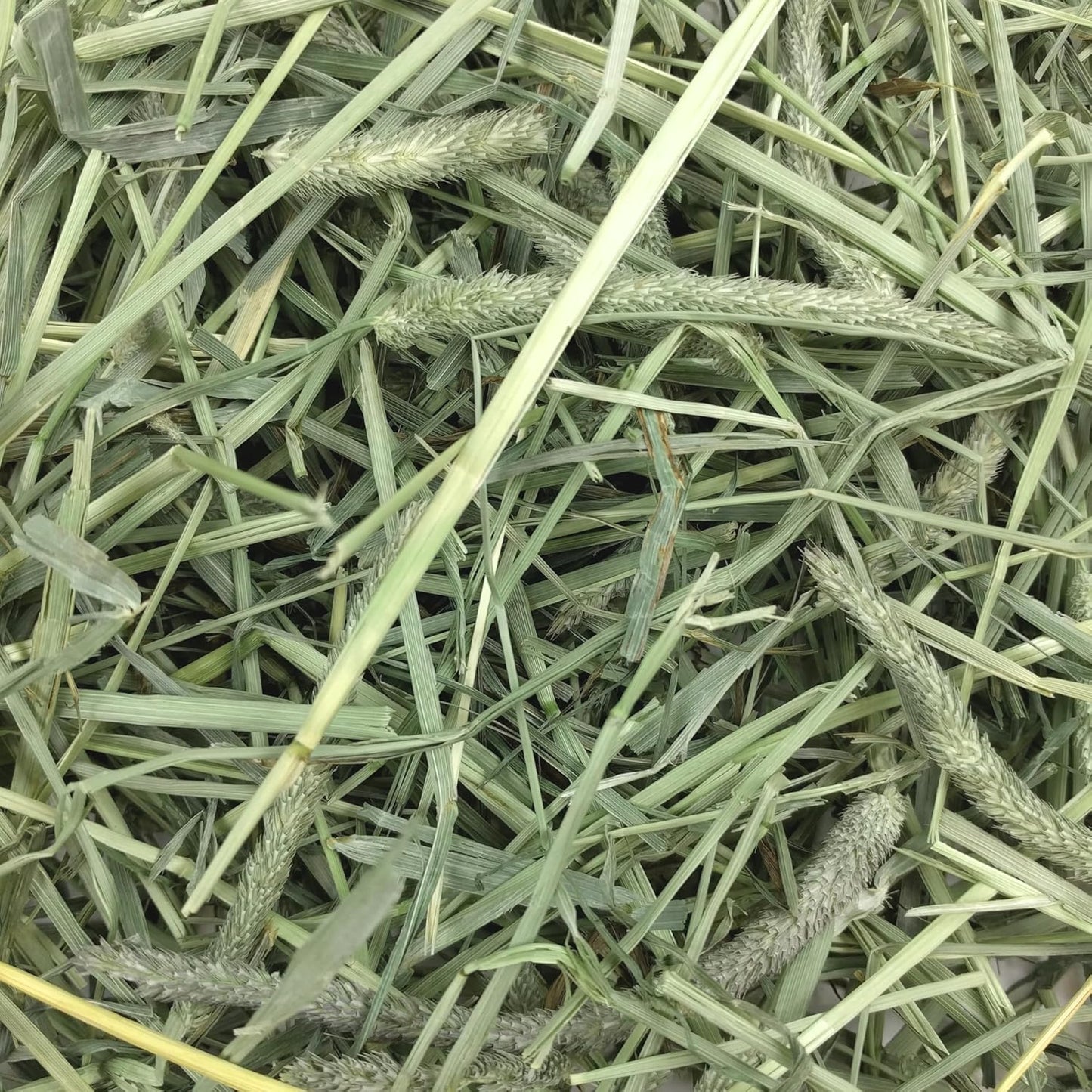 Oxbow Timothy Hay, Rabbit & Guinea Pig Hay, High Fiber for Digestive Health, Grown in the USA, Veterinarian Recommended Small Pet Supplies, for Rabbits, Guinea Pigs, & Chinchillas, 15 Oz. (Pack of 2)