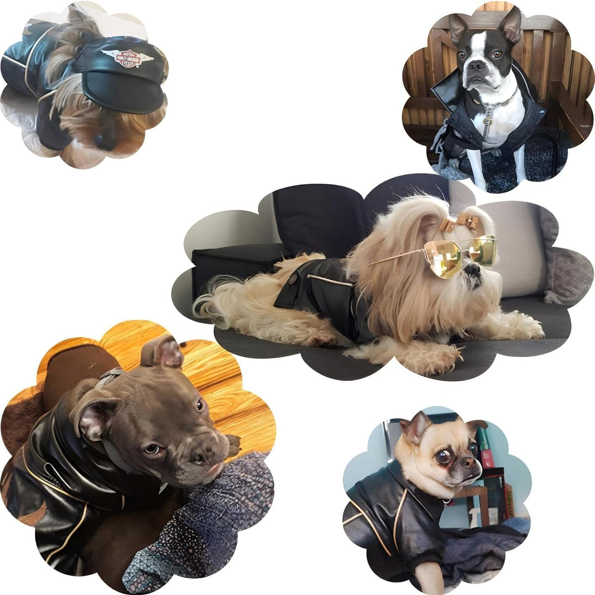 Dog Leather Jacket - Cute Leather Dog Jackets Motorcycle Clothes with Buttons Pet Waterproof Winter Coat for Small Medium Dogs(Black,M)