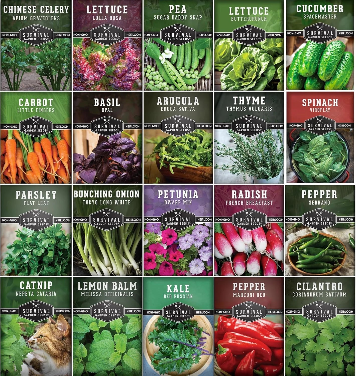 20 Pack Apartment Seed Kit - Heirloom Vegetable Seeds - Container Friendly Part & Full Sun Annuals