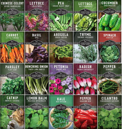 20 Pack Apartment Seed Kit - Heirloom Vegetable Seeds - Container Friendly Part & Full Sun Annuals