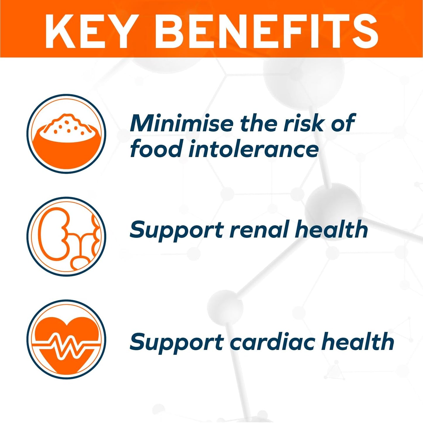 Forza10 - Dog Food, Vet Formulated Wet Dog Food for Kidney Support, Non-Gmo, Lamb Flavor, Made in Italy (3.5 Oz, 32 Pack)