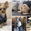 Dog Leather Jacket - Cute Leather Dog Jackets Motorcycle Clothes with Buttons Pet Waterproof Winter Coat for Small Medium Dogs(Black,M)