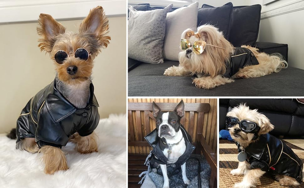 Dog Leather Jacket - Cute Leather Dog Jackets Motorcycle Clothes with Buttons Pet Waterproof Winter Coat for Small Medium Dogs(Black,M)