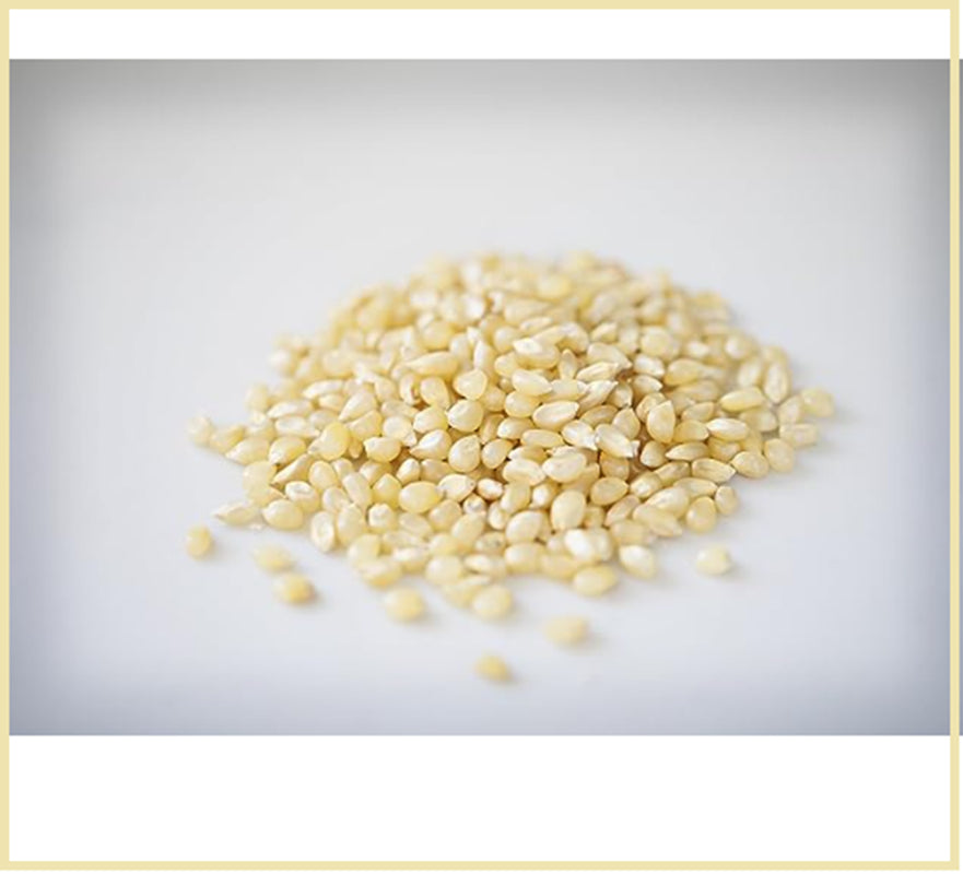 Amish Country Popcorn | 6 Lb Bag | Baby White Popcorn Kernels | Small and Tender