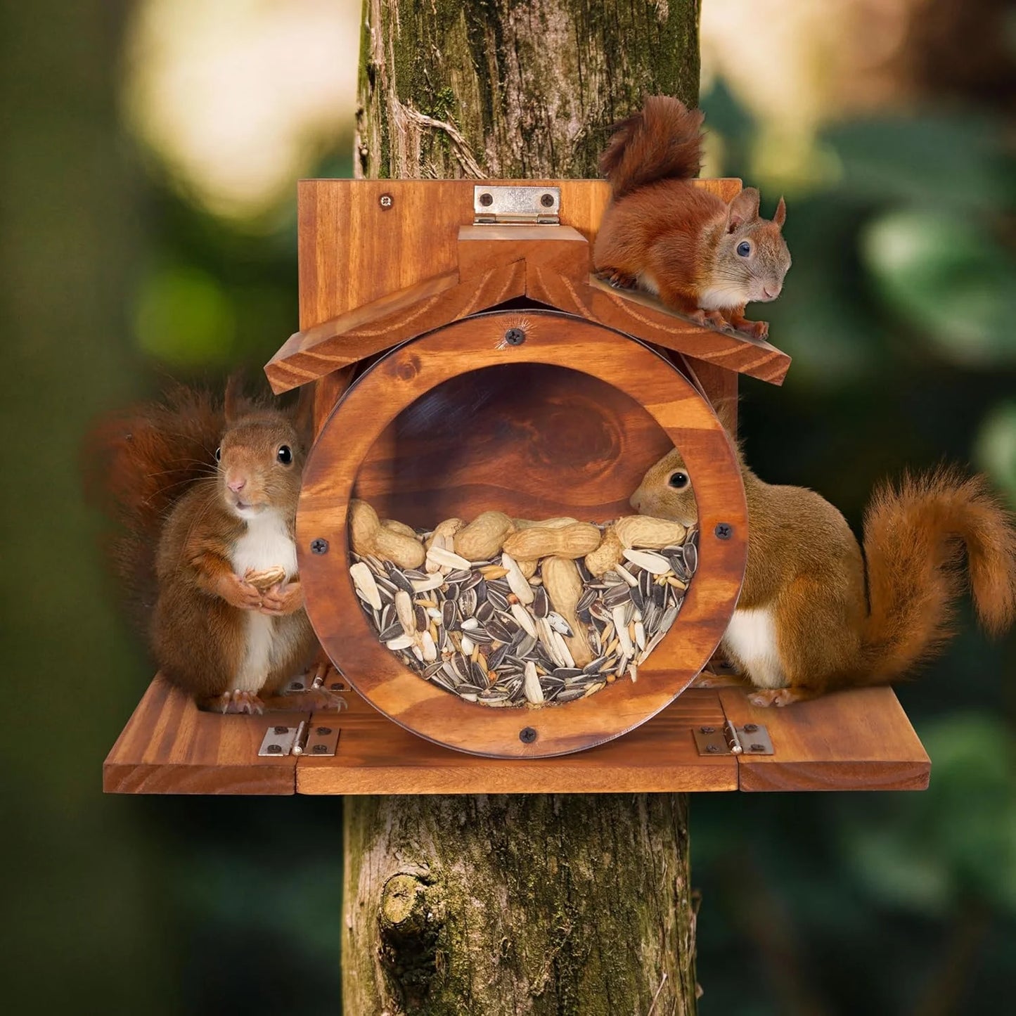 VASGOR Wood Squirrel Feeder, Squirrel Feeders for outside Winter, Wooden Chipmunk Feeder for Corn, Peanuts, Durable Box Easy to Fill with the Roof Can Be Opened