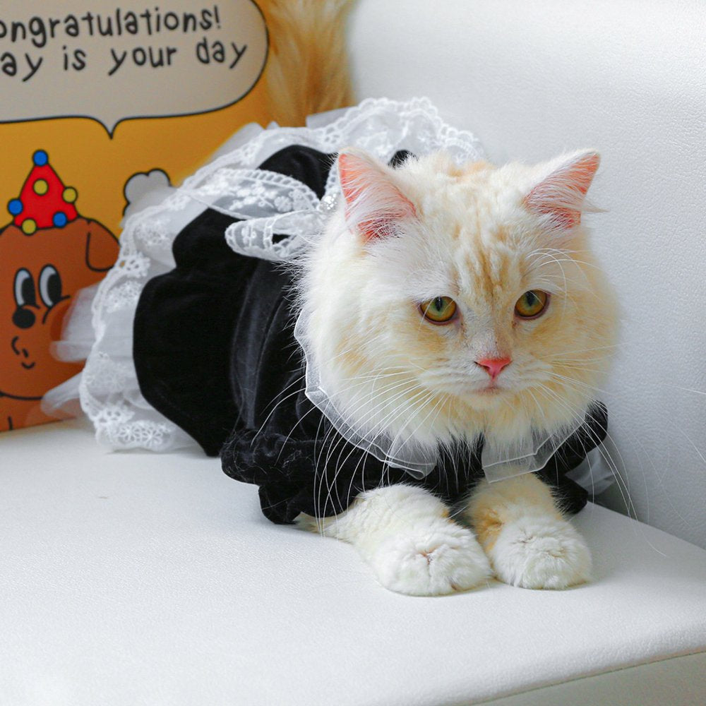 ZPAQI Cat Outfits for Cats Only Pet Costume Dog Clothes Black Dress for Girl Dogs