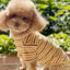 Dog Shirts Cotton Striped T-Shirt, Summer Pet Clothes for Small Dogs, 2-Pack Soft Puppy Apparel Cat Tee, Breathable Stretchy, Blue Yellow XXL