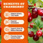 29.45Oz Cranberry Cat Treats for Urinary Tract, Chicken Flavor