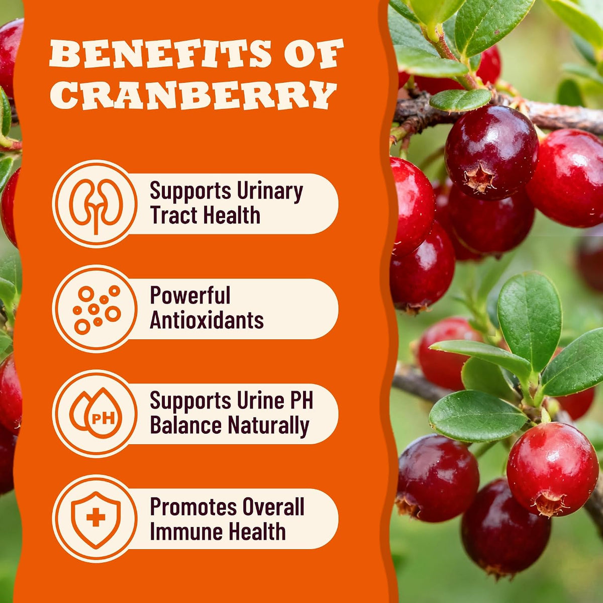 29.45Oz Cranberry Cat Treats for Urinary Tract, Chicken Flavor