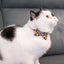 Collar for Cat Pet Breakaway with Bell Bowtie Detachable Bow Adjustable Safety Kitten Puppy Girl Boy 2Pcs Pink Leopard & Pure