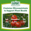 Expert Gardener All-Purpose Plant Food Fertilizer 12-5-7, 4 Lb.