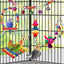 Bird Toys for Conures with Colorful Ladder Hammock Bird Cage Accerious Bird Perch Stand Chewing Toys Hanging Bell for Parrot Parakeet Cockatiel Lovebirds