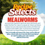 (4 Pack) Pennington Recipe Selects Dried Mealworms for Birds, Bluebird and Wild Bird Food for outside Feeder, 17.6 Oz Bag, 1 Pack